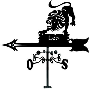 Veleta Tejado de hierro Leo 900 mm.